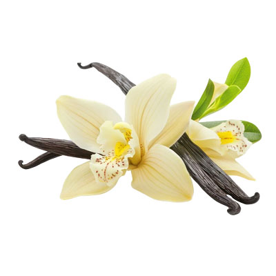 Spicy Tuna | 101 Cafe | ساندوتش تونا سبايسى | كافية 101